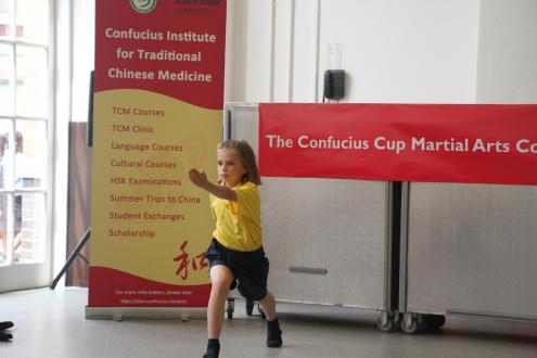Martial Arts Competition
