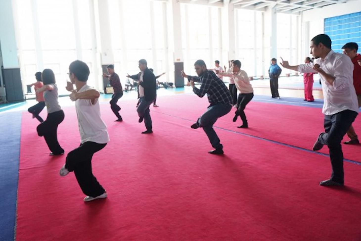 Students learning Chinese kung fu