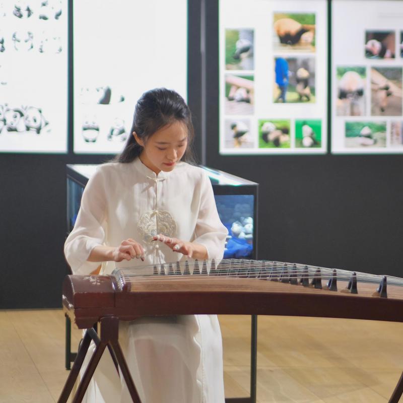  Package and Product Design Exhibition Opens